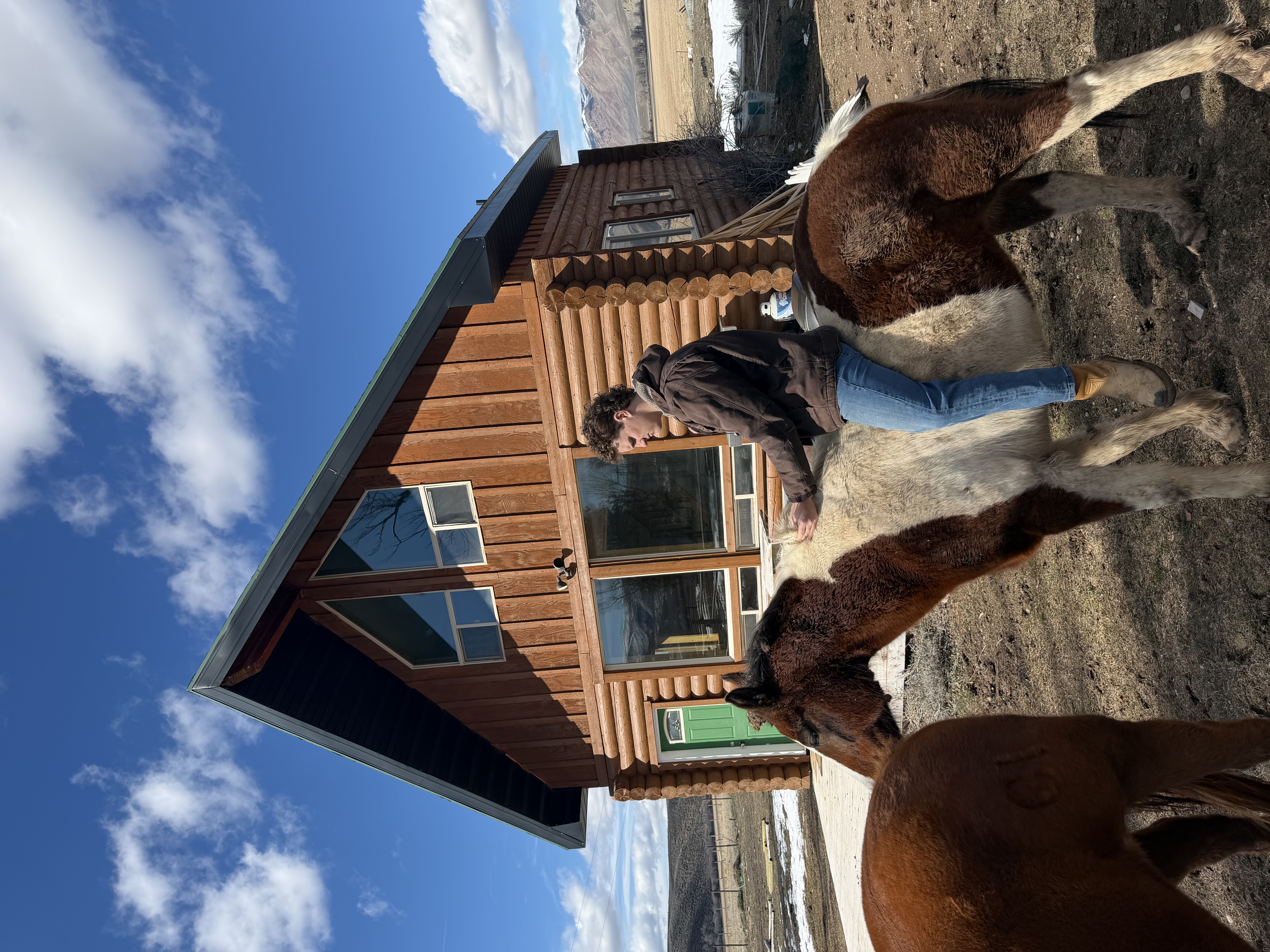 The Cottonwood Ranch cabin